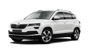 Skoda Karoq 2017 - н.в.