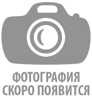 Volkswagen Golf Plus 2004 - 2009